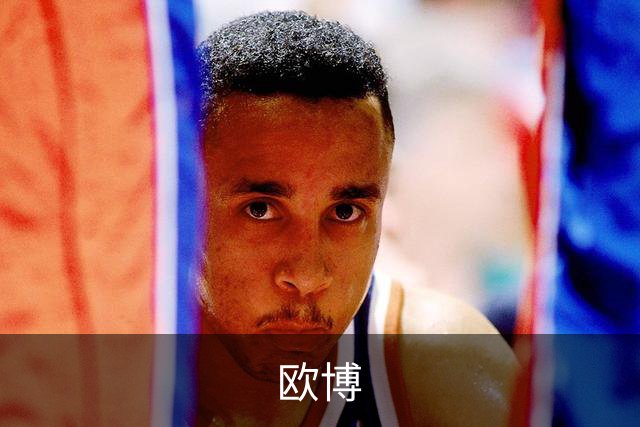 欧博公司介绍
